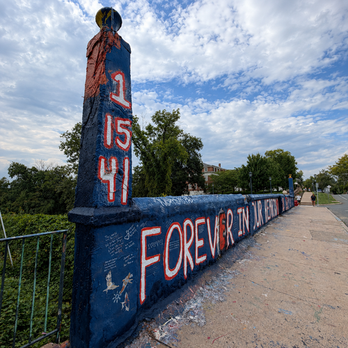 Beta Bridge / Virginia Ave